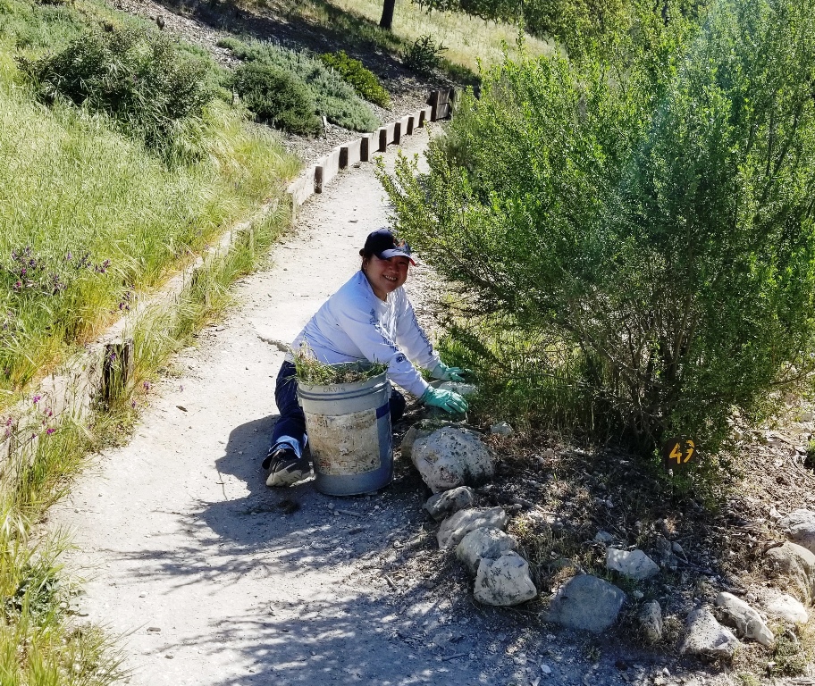 Sabrina digging in and removing weeds!